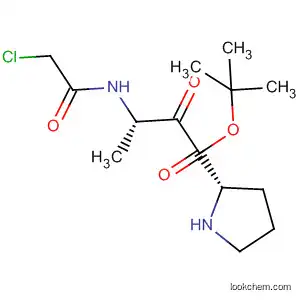 Molecular Structure of 90035-52-2 (L-Proline, 1-[N-(chloroacetyl)-L-alanyl]-, 1,1-dimethylethyl ester)