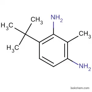2-메틸-4-tert-부틸-1,3-페닐렌디아민