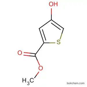 Molecular Structure of 5118-04-7 (4-Hydroxy-2-thiophenecarboxylic acid methyl ester)