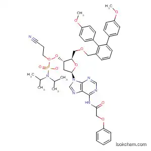 5'-O-(4,4'-DIMETHOXYTRITYL)-N6-PHENOXYACETYL-2'-DEOXYADENOSINE-3'-(2-CYANOETHYL-N,N-DIISOPROPYL)PHOSPHORAMIDITE