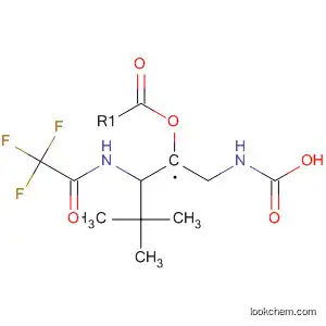 Molecular Structure of 181761-60-4 (tert-Butyl Methyl(2-(2,2,2-trifluoroacetaMido)ethyl)carbaMate)