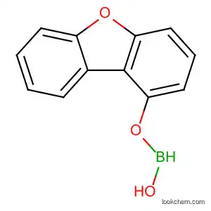 Molecular Structure of 395087-89-5 (dibenzo[b,d]furan-3-ylboronic acid)
