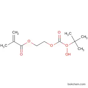 메타크릴산 2-[(tert-부틸퍼옥시카르보닐)옥시]에틸에스테르