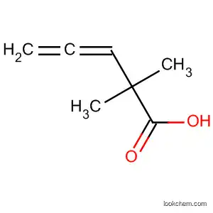 Molecular Structure of 4058-53-1 (3,4-Pentadienoic acid, 2,2-dimethyl-)