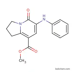 METHYL 5-OXO-6-PHENYLAMINO-1,2,3,5-TETRAHYDROINDOLIZINE-8-CARBOXYLATE