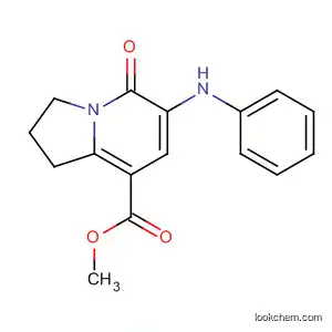 Molecular Structure of 612065-18-6 (METHYL 5-OXO-6-PHENYLAMINO-1,2,3,5-TETRAHYDROINDOLIZINE-8-CARBOXYLATE)