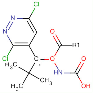 tert-butyl (3,6-dichloropyridazin-4-yl)methylcarbamate
