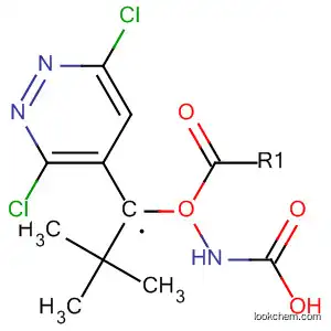 TERT-부틸(3,6-DICHLOROPYRIDAZIN-4-YL)메틸카르바메이트