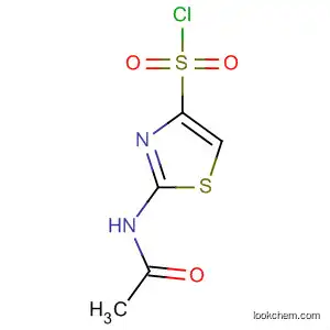 Molecular Structure of 654072-71-6 (2-ACETYLAMINO-THIAZOLE-5-SULFONYL CHLORIDE)
