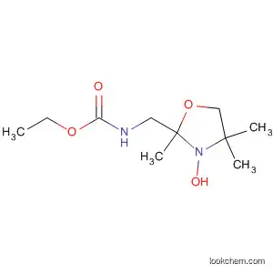 Molecular Structure of 663610-78-4 (2-[[(Ethoxycarbonyl)amino]methyl]-2-methyl Doxyl)
