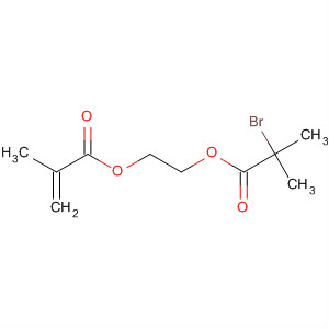2-(2-bromoisobutyryloxy)ethyl methacrylate