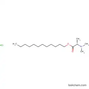 도데실 2-(N,N-디메틸아미노)프로피오네이트 Hcl