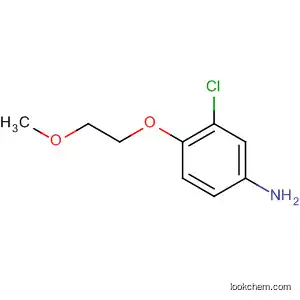 3-클로로-4-(2-메톡시-에톡시)-페닐아민
