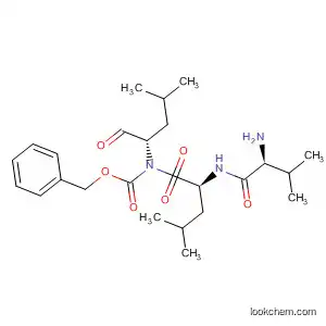γ-분비효소 억제제 II