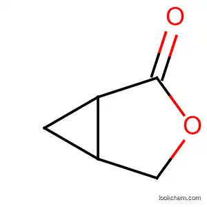 Molecular Structure of 5617-63-0 (3-Oxabicyclo[3.1.0]hexan-2-one)