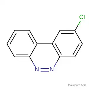 2-클로로벤조[c]신놀린