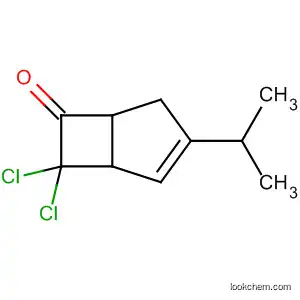 7,7-Dichloro-3-isopropylbicyclo[3.2.0]hept-2-en-6-one
