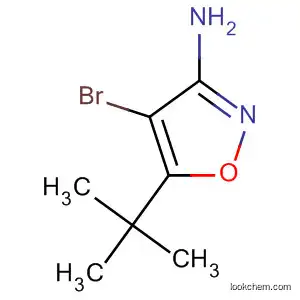 4-broMo-5-tert-부틸이속사졸-3-아민