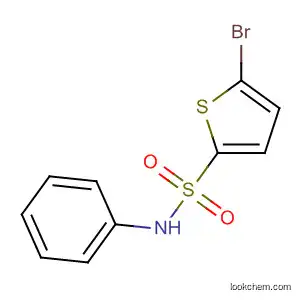 Molecular Structure of 55854-43-8 (2-Thiophenesulfonamide, 5-bromo-N-phenyl-)
