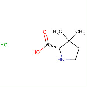 3,3-dimethylpyrrolidine-2-carboxylic acid hydrochloride