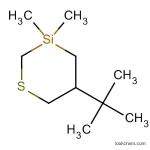 Molecular Structure of 61676-34-4 (5-tert-Butyl-3,3-dimethyl-1-thia-3-silacyclohexane)