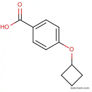 4-Cyclobutoxy-benzoic acid tert-butyl ester