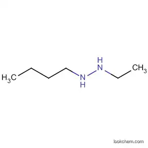 1-부틸-2-에틸히드라진