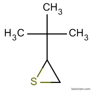 Molecular Structure of 45434-29-5 (2-tert-butylthiirane)