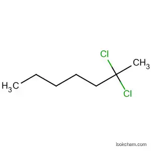 Molecular Structure of 65786-09-6 (2,2-dichloroheptane)