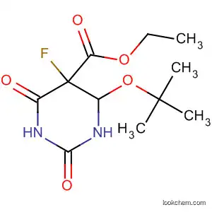 4-(tert-ブトキシ)-5-フルオロ-2,6-ジオキソ-1,3-ジアジナン-5-カルボン酸