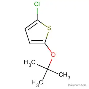 Thiophene, 2-chloro-5-(1,1-dimethylethoxy)-