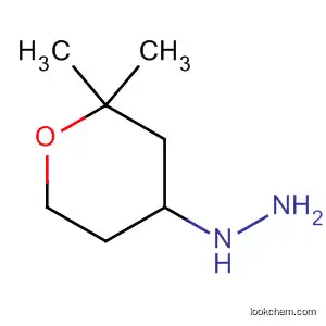 Molecular Structure of 90382-47-1 (Hydrazine, (tetrahydro-2,2-dimethyl-2H-pyran-4-yl)-)