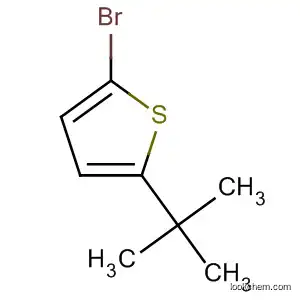 Molecular Structure of 93425-02-6 (Thiophene, 2-bromo-5-(1,1-dimethylethyl)-)