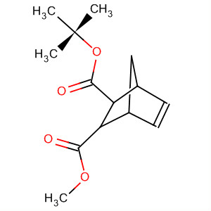 Bicyclo[2.2.1]hept-5-ene-2,3-dicarboxylic acid, 1,1-dimethylethyl methyl ester, (2-endo,3-exo)- manufacturer
