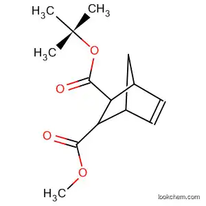 Molecular Structure of 138257-91-7 (Bicyclo[2.2.1]hept-5-ene-2,3-dicarboxylic acid, 1,1-dimethylethyl methyl
ester, (2-endo,3-exo)-)
