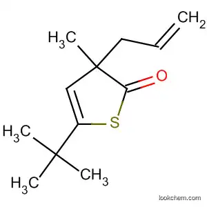 Molecular Structure of 142396-82-5 (2(3H)-Thiophenone, 5-(1,1-dimethylethyl)-3-methyl-3-(2-propenyl)-)
