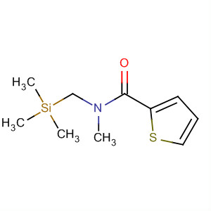 Molecular Structure of 143266-40-4 (2-Thiophenecarboxamide, N-methyl-N-[(trimethylsilyl)methyl]-)