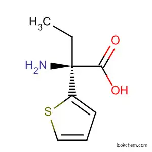 L-2-(3-메틸티에닐)알라닌