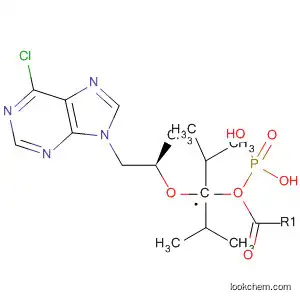 Molecular Structure of 160616-59-1 (Phosphonic acid,
[[(1R)-2-(6-chloro-9H-purin-9-yl)-1-methylethoxy]methyl]-,
bis(1-methylethyl) ester)