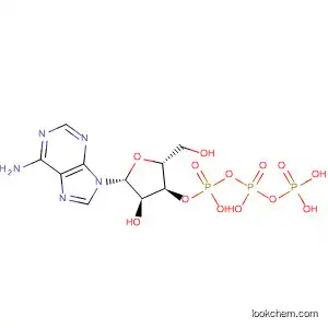 アデノシン3′-三りん酸