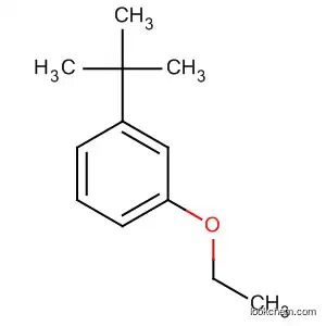 1-tert-부틸-3-에톡시벤젠