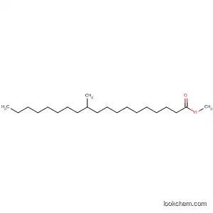 Molecular Structure of 55334-33-3 (11-Methylnonadecanoic acid methyl ester)