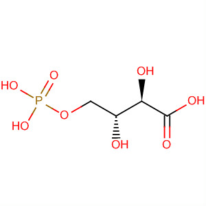 4-Phospho D-Erythronate