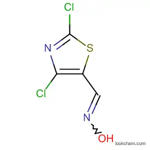 2,4-DICHLORO-1,3-THIAZOLE-5-CARBOXALDEHYDE 옥심