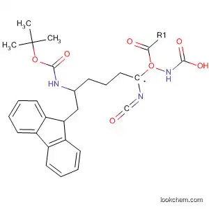 Molecular Structure of 611198-34-6 (Carbamic acid,
[(1R)-5-[[(1,1-dimethylethoxy)carbonyl]amino]-1-isocyanatopentyl]-,
9H-fluoren-9-ylmethyl ester)