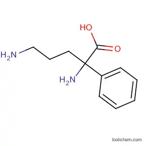 Molecular Structure of 690945-50-7 (2-PHENYLORNITHINE)