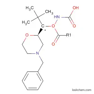 Carbamic acid, N-[[(2R)-4-(phenylmethyl)-2-morpholinyl]methyl]-, 1,1-dimethyleth