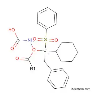 benzyl N-[cyclohexyl(phenylsulfonyl)methyl]carbamate