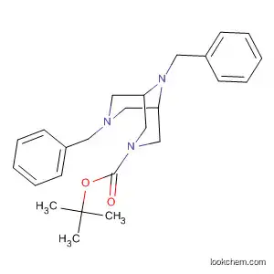 Molecular Structure of 868407-40-3 (3,7,9-Triazabicyclo[3.3.1]nonane-3-carboxylic acid,
7,9-bis(phenylmethyl)-, 1,1-dimethylethyl ester)