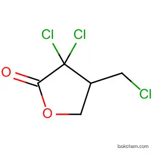 Molecular Structure of 87223-92-5 (2(3H)-Furanone, 3,3-dichloro-4-(chloromethyl)dihydro-)